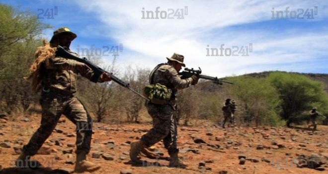 Trois braconniers dévorés par des lions en Afrique du Sud