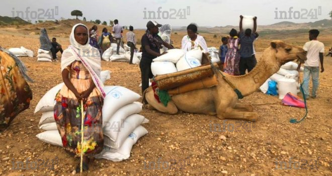 Ethiopie&nbsp;: Accusés d’ingérence, 7 dirigeants d’agences de l’ONU sommés de quitter le pays