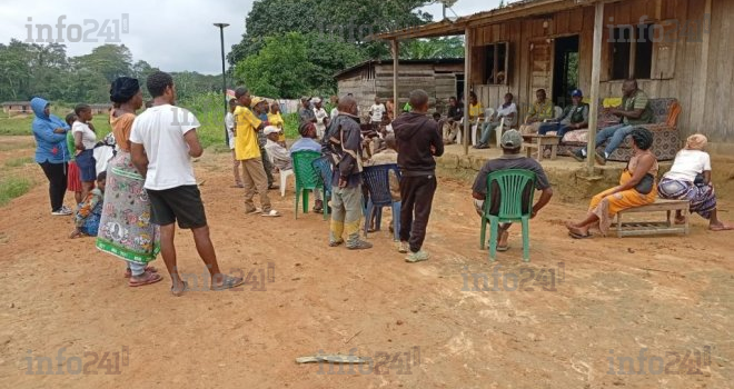Zadié&nbsp;: L’agriculture et l’apiculture comme remparts contre la criminalité environnementale