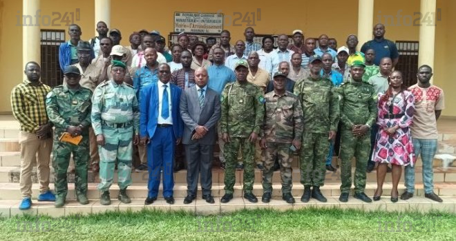 Conflit homme-faune au Gabon&nbsp;: des ONG cartographient les zones à risque dans le TRIDOM