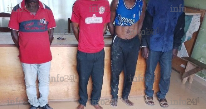 Gabon&nbsp;: 4 trafiquants d’ivoire dont un récidiviste, arrêtés avec 14 défenses d’éléphants à Makokou