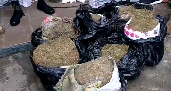 Drogue&nbsp;: 2 dealers et 7 ballots de chanvre indien à destination du Gabon, arrêtés au Cameroun