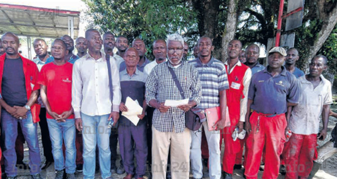 Le Kevazingogate accusé de menacer la bonne santé de Rougier Gabon