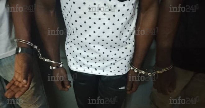 Franceville&nbsp;: Trois braconniers présumés dans les filets de justice avec 10 défenses d’éléphants