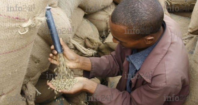 40% de la production agricole africaine perdue faute de stockage et de conservation adéquats
