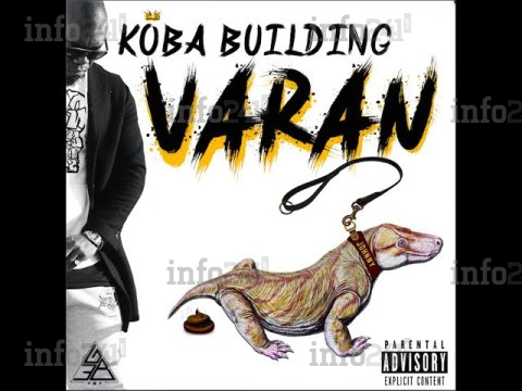 Impossible de lire la video