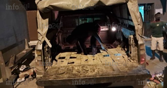 Une dizaine de braconniers aux ramifications internationales devant la justice gabonaise ce vendredi