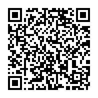 qrcode:https://www.thegabon.com/libre-circulation-en-zone-cemac-des-concertations-a-libreville,113