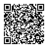 qrcode:https://www.thegabon.com/locales-legislatives-2018-la-presidence-gabonaise-evoque-un-raz,3915