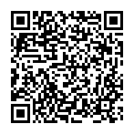 qrcode:https://www.thegabon.com/une-levee-de-terre-boycottee-interdite-aux-amis-de-mes-amis,430