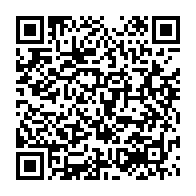 qrcode:https://www.thegabon.com/la-susceptibilite-d-ali-bongo-croquee-par-le-petit-journal-de,1553