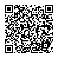 qrcode:https://www.thegabon.com/politique-spectacle-des-structures-passives-de-l-afrique,1314