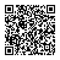 qrcode:https://www.thegabon.com/gabon-africa-united-airlines-vole-au-secours-d-un-bebe-chimpanze,10795