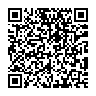 qrcode:https://www.thegabon.com/un-avion-de-la-compagnie-ethiopian-airlines-s-ecrase-avec-a-son,4269