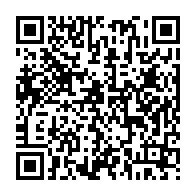 qrcode:https://www.thegabon.com/france-un-fils-d-omar-bongo-se-fait-conduire-par-une-diplomate,193