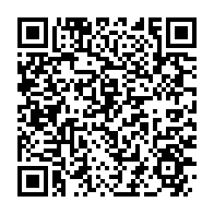 qrcode:https://www.thegabon.com/mouila-un-gorille-qui-y-semait-la-panique-finit-sa-course-dans,8551