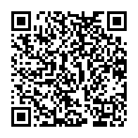 qrcode:https://www.thegabon.com/samba-la-mascotte-de-la-can-gabon-2017-bouderait-elle-la-couleur,2393