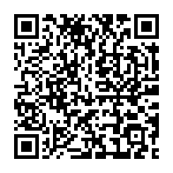 qrcode:https://www.thegabon.com/les-regles-du-commerce-international-freine-l-industrialisation,1012