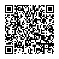 qrcode:https://www.thegabon.com/de-l-hotel-dowe-a-l-aeroport-joseph-rendjambe-oligui-nguema,10124