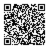 qrcode:https://www.thegabon.com/pole-incubateur-d-entrepries-tic-si-nous-travaillons-en-synergie,1348