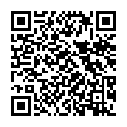 qrcode:https://www.thegabon.com/l-ambassadeur-russe-chez-ali-bongo,026