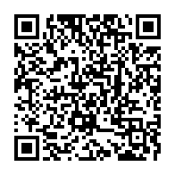 qrcode:https://www.thegabon.com/des-cles-pour-comprendre-le-scandale-pozzo-di-borgo-du-couple,3514