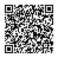 qrcode:https://www.thegabon.com/jean-ping-promet-qu-ali-bongo-sera-degage-du-pouvoir-au-gabon,6674