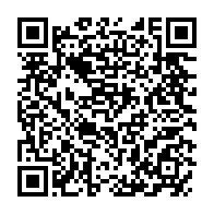 qrcode:https://www.thegabon.com/pantheres-du-gabon-boupendza-et-allevinah-deux-cracks-qui-font,6549