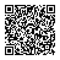 qrcode:https://www.thegabon.com/filiere-bois-au-gabon-le-vertigineux-paradoxe-d-une-croissance,11858