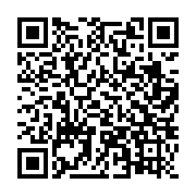 qrcode:https://www.thegabon.com/legislatives-2025-rostand-mickael-engonga-ella-udb,2591