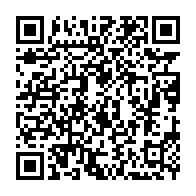 qrcode:https://www.thegabon.com/ouganda-10-morts-apres-une-bousculade-lors-des-celebrations-du,1596