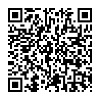 qrcode:https://www.thegabon.com/70-kg-de-pointes-d-ivoire-retrouves-dans-un-vehicule-a-mitzic,1125