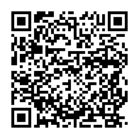 qrcode:https://www.thegabon.com/les-branchements-anarchiques-de-cables-electriques-l-enieme,6007